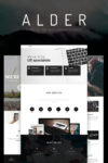 alder-modern-onepage-wordpress-theme_65922-original